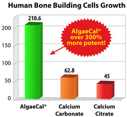 organic marine algae calcium vs calcium citrate AlgaeCal Bone Building Cells Study
