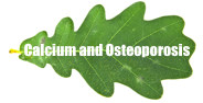 organic calcium and bone health