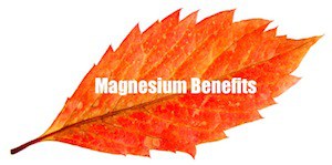 Organic calcium supplement magnesium