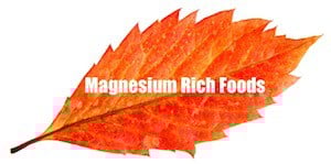 organic calcium supplement magnesium rich foods