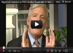 Dr Marcus Laux Features AlgaeCal on PBS