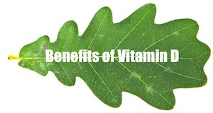 plant calcium vitamin d benefits