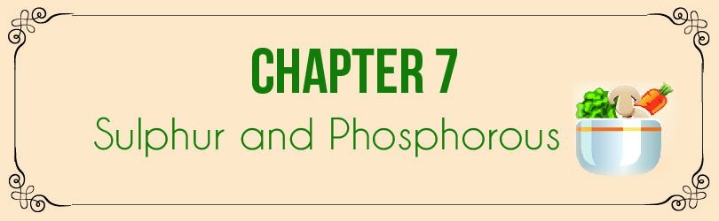 algaecal vegetarian chapter 7