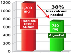 all natural calcium supplement dosage active absorbable Algaecal calcium more effective than Rock Calcium at lower doses