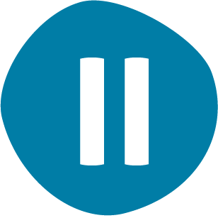 Type 2 Icon