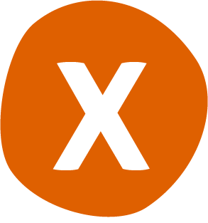 X Icon 