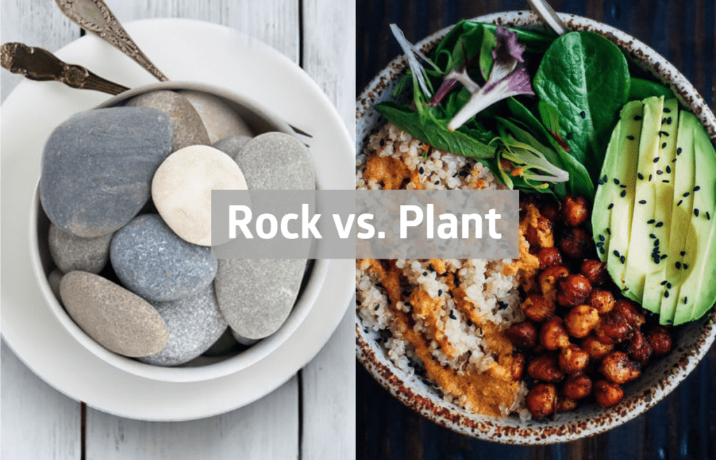 rock vs plant based calcium