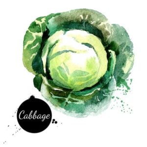 Calcium in Cabbage