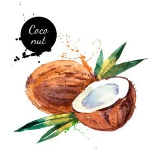Lauric Acid in Coconut Oil