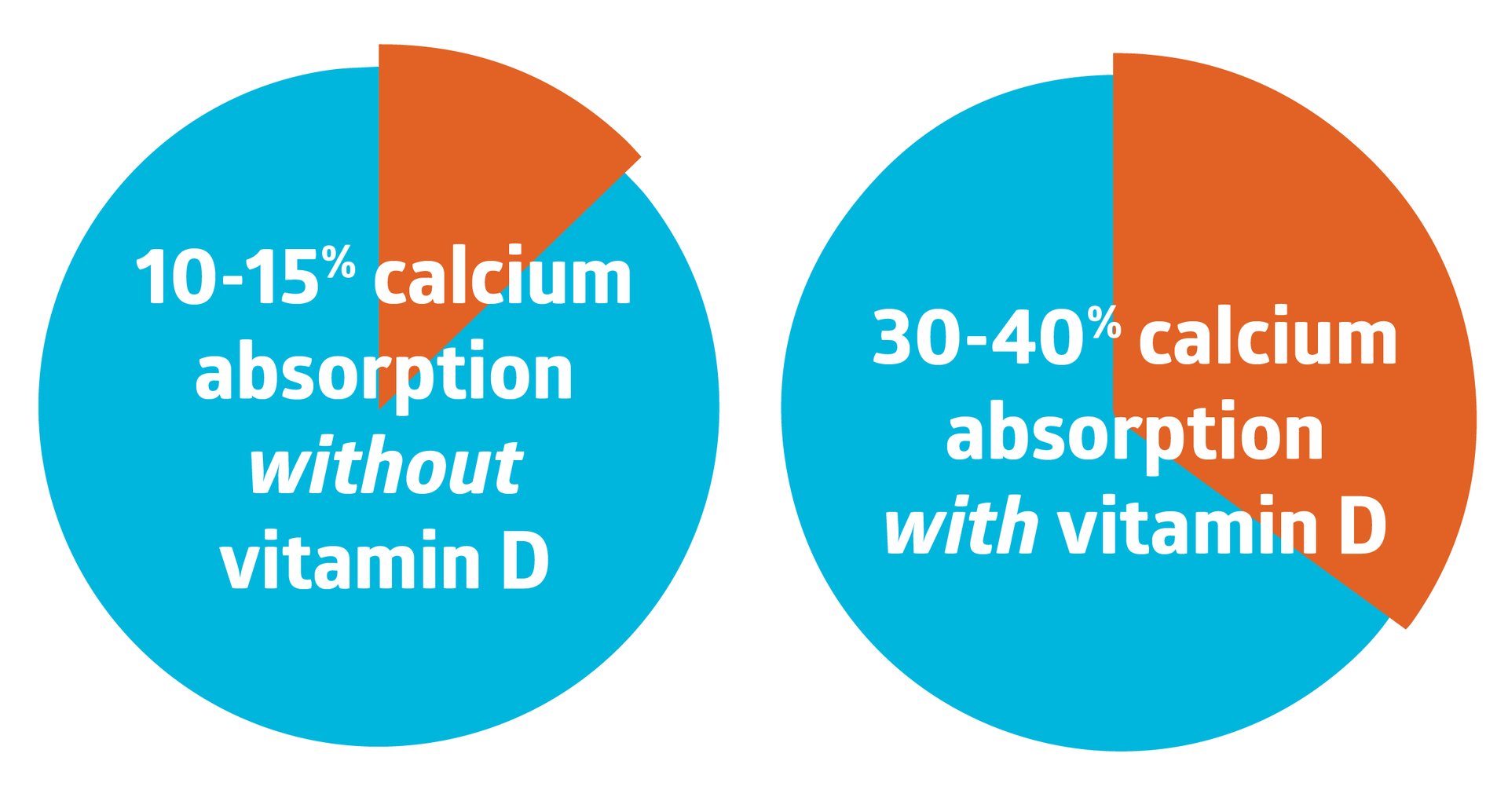 Calcium And Osteoporosis Everything You Need To Know calcium-and-osteoporosis-everything-you-need-to-know