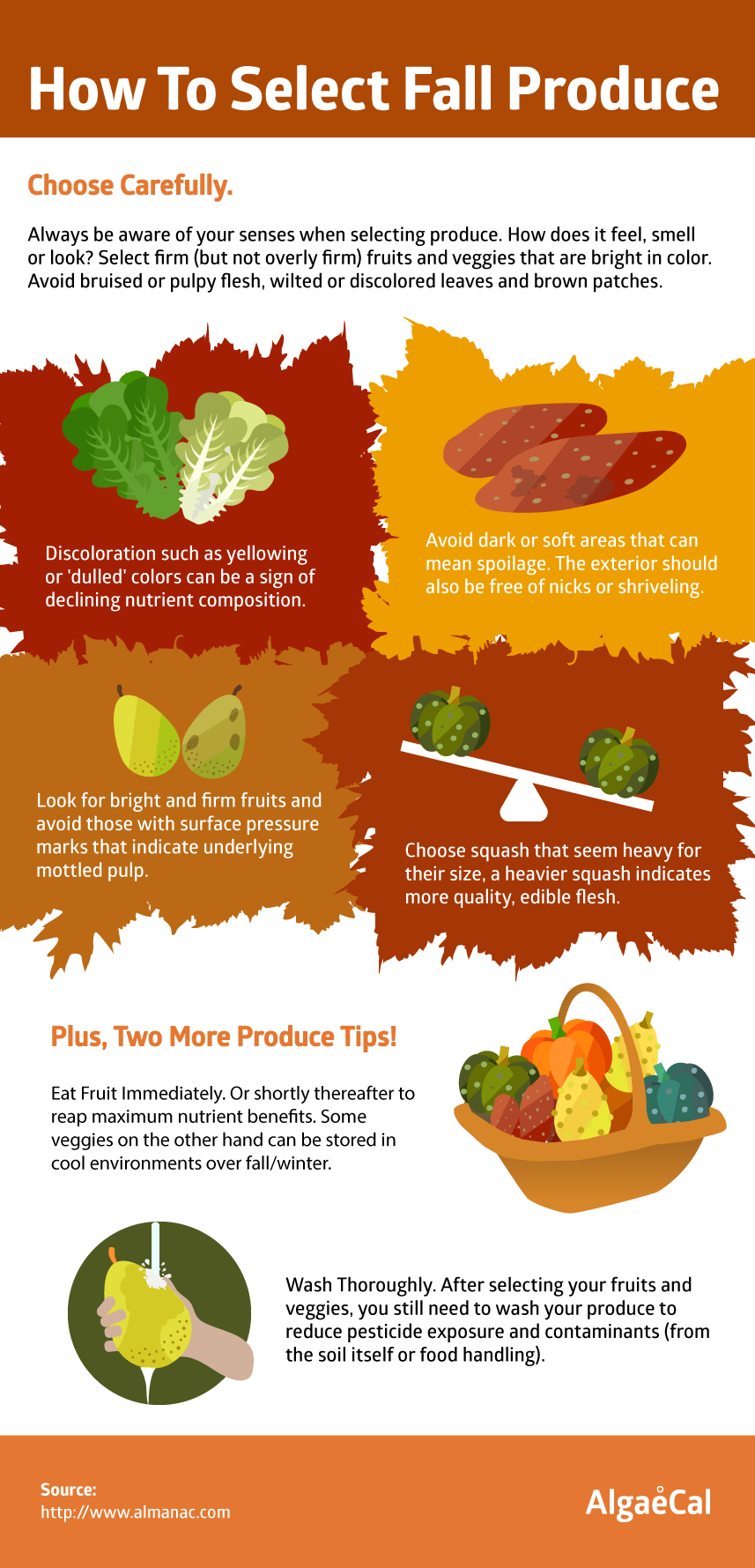 guide on how to select fall produce