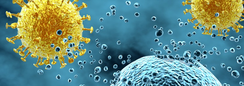 immune system cells