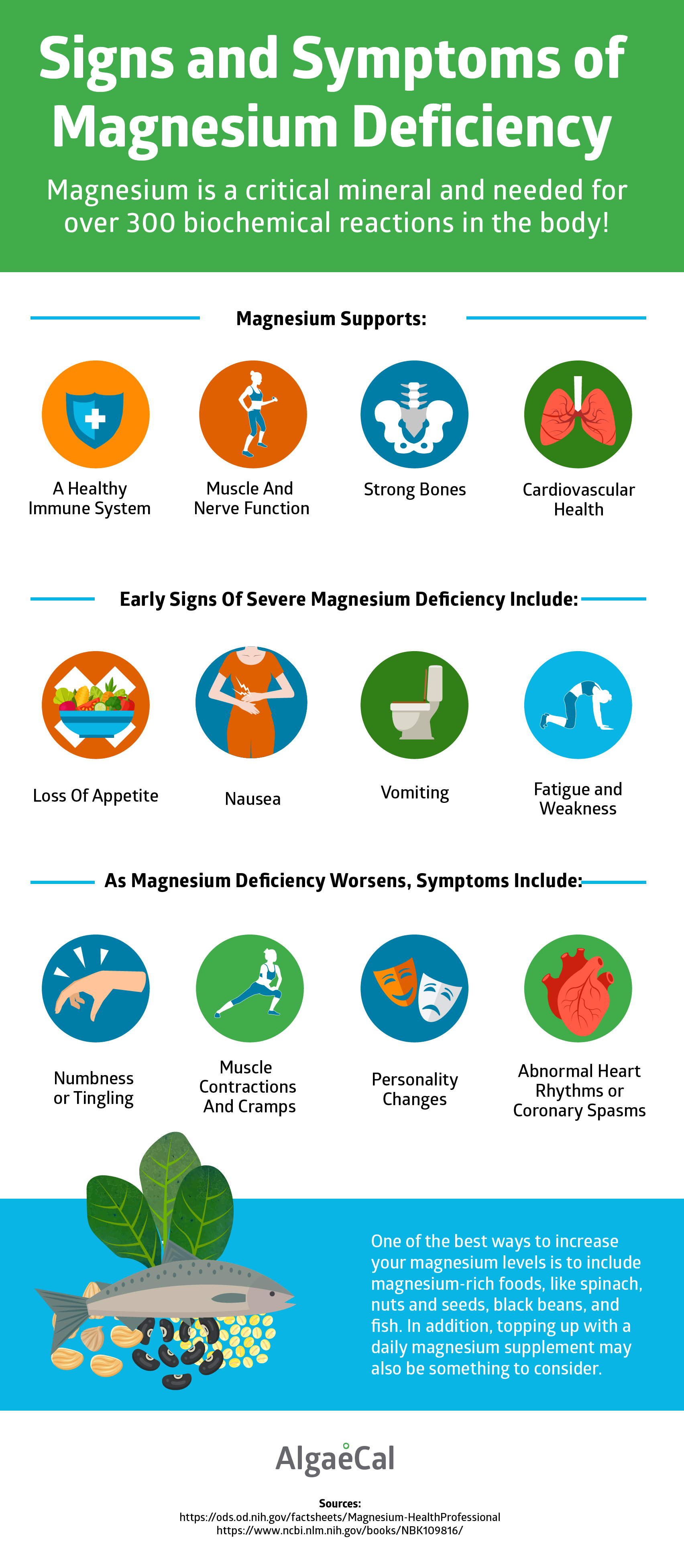 Magnesium Deficiency & All About Magnesium - AlgaeCal