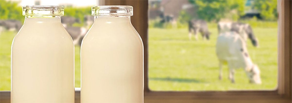 Bottles of Milk