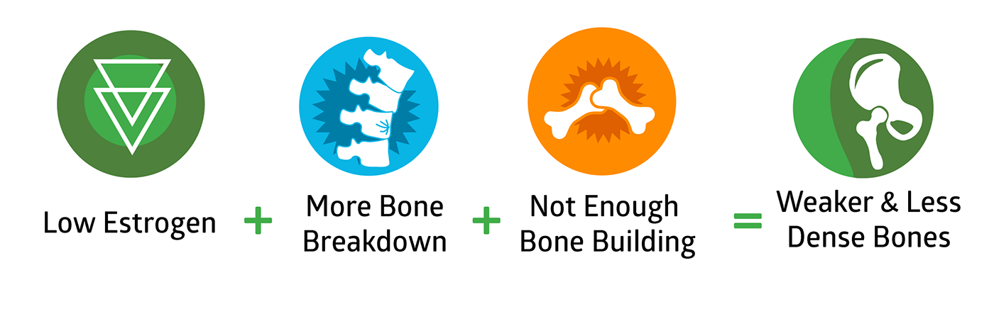 Low Estrogen + More Bone Breakdown + Not Enough Bone Building = Weaker & Less Dense Bones