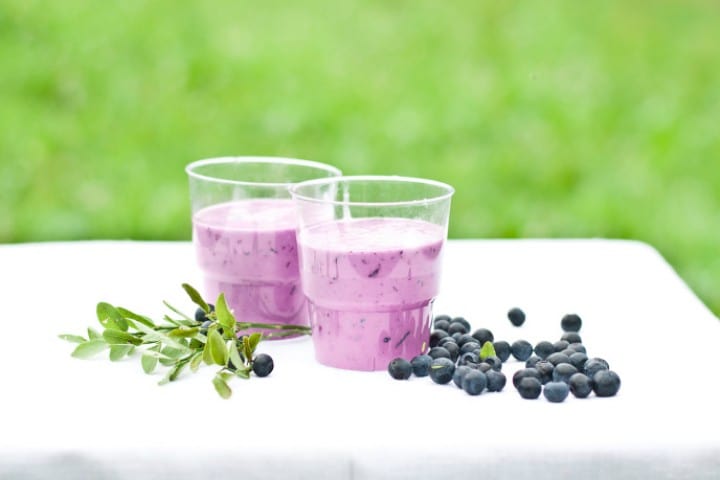 Blueberry Yogurt Smoothie