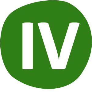 Type 4 Icon