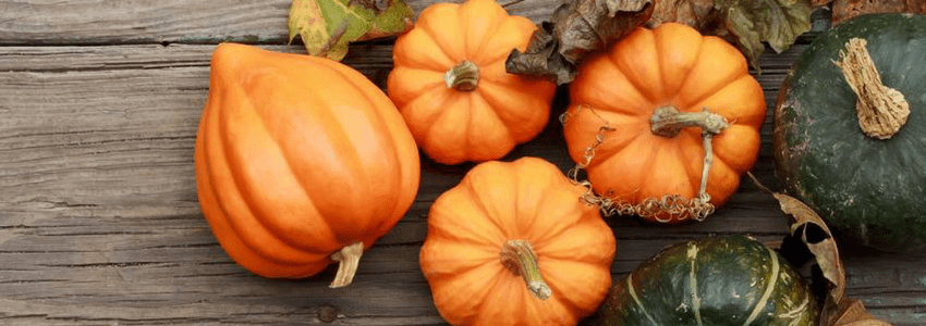 Pumpkins and squash for fall foods