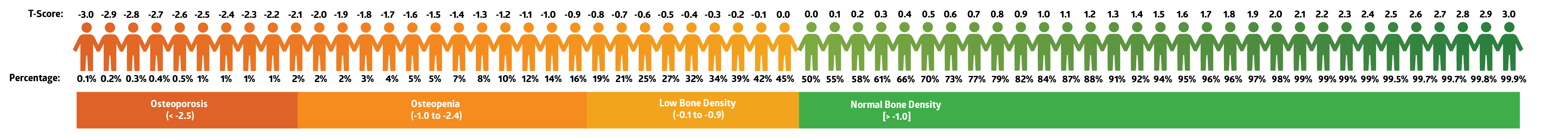 Bone Density Test Results Chart