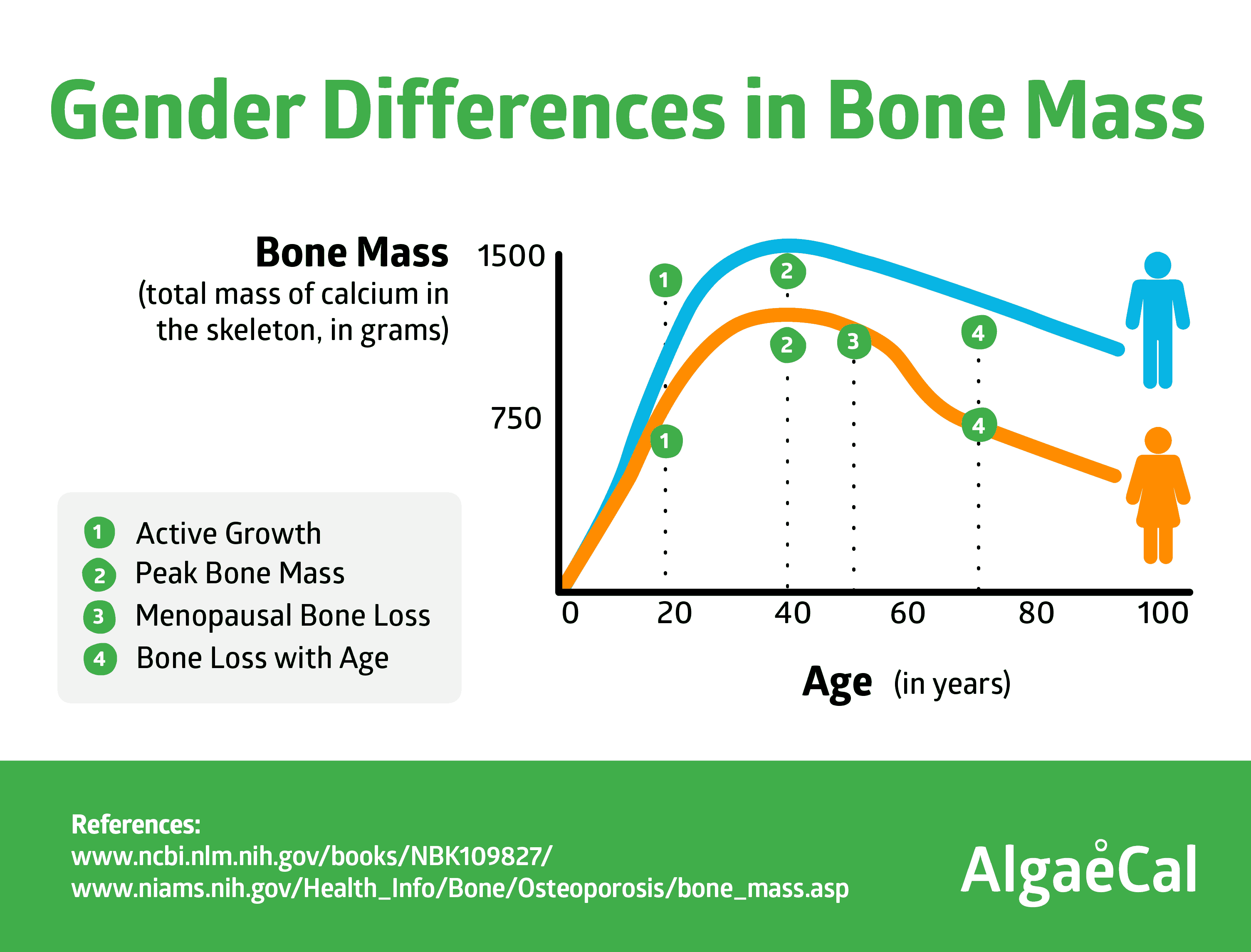 Bone Mass Chart For Men