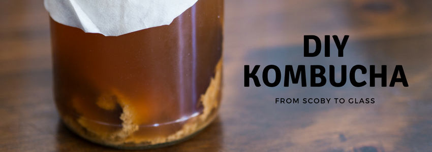 How to Make Your Own Kombucha at Home