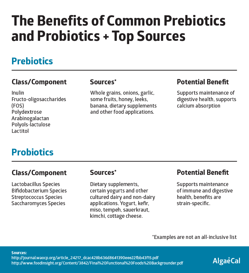 The Ultimate Guide to Prebiotics and Probiotics + What They Have To Do