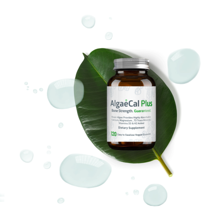 algaecal-natural-calcium-supplements-to-increase-bone-density