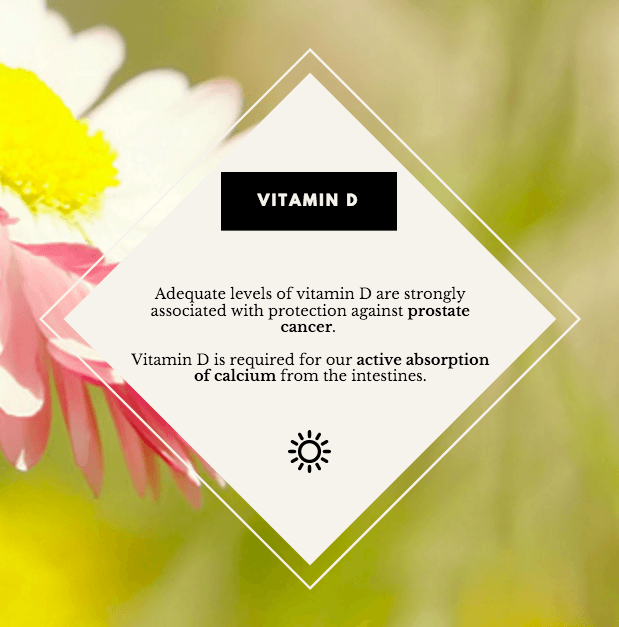 milk and osteoporosis and vitamin D